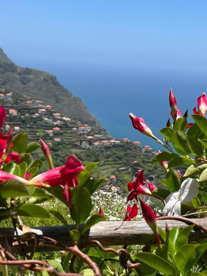 Villa Tropical House Ribeira Brava Exterior foto