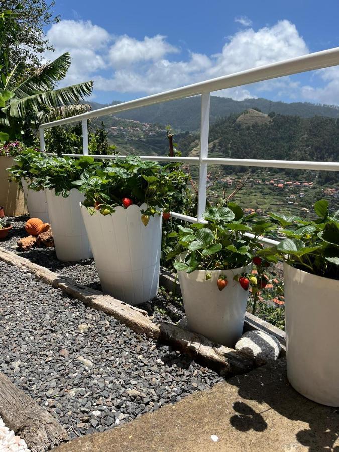 Villa Tropical House Ribeira Brava Exterior foto